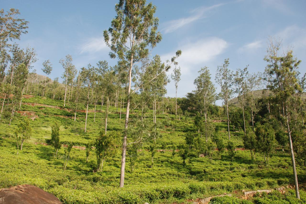Relaxing 2 B/R Estate House, Deenaty, Tamil Nadu Коимбатур Экстерьер фото